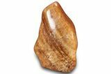 Free-Standing Polished Orange Calcite - Madagascar #299625-2